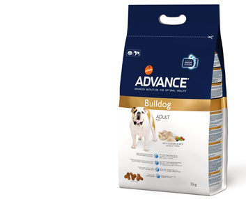 Nutrición especial para bulldogs